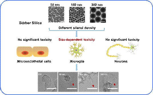 德州扑克玩法